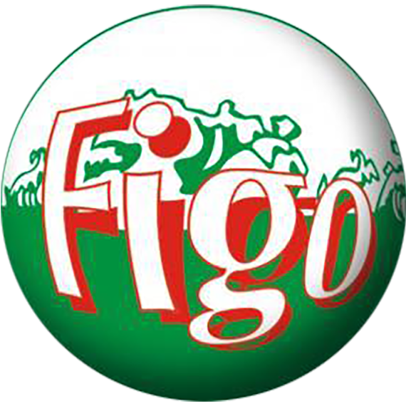 figo logo